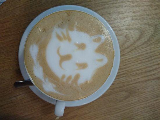 Miau Grau